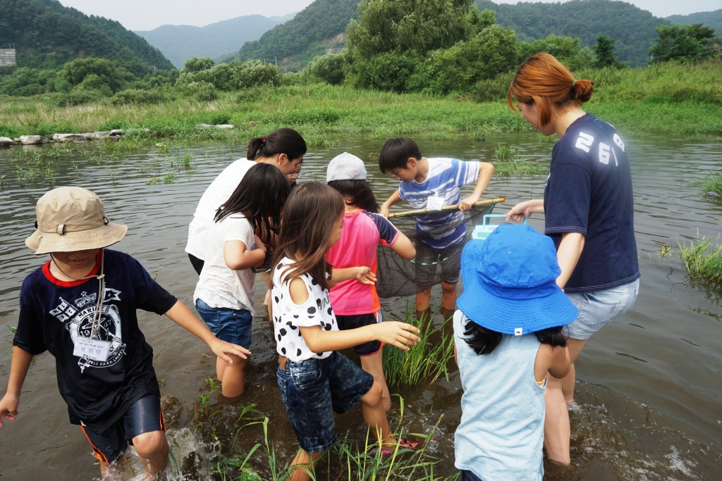 Experience Class (looking for a freshwater fish)