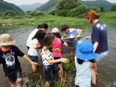 Experience Class (looking for a freshwater fish)