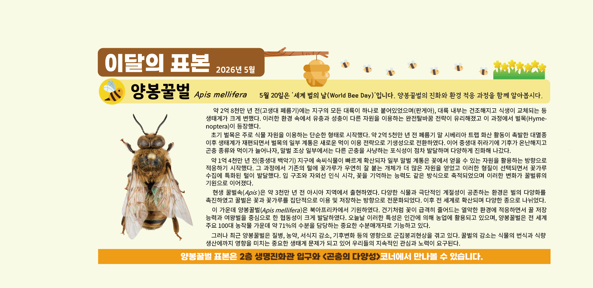 2026년 5월 이달의 표본