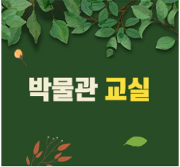 박물관 교실