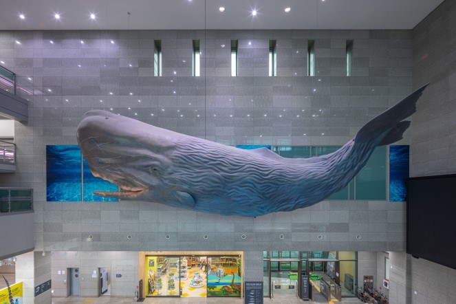 Sperm Whale-1