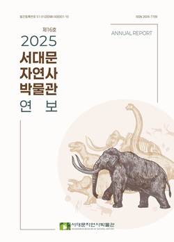 2025 연보