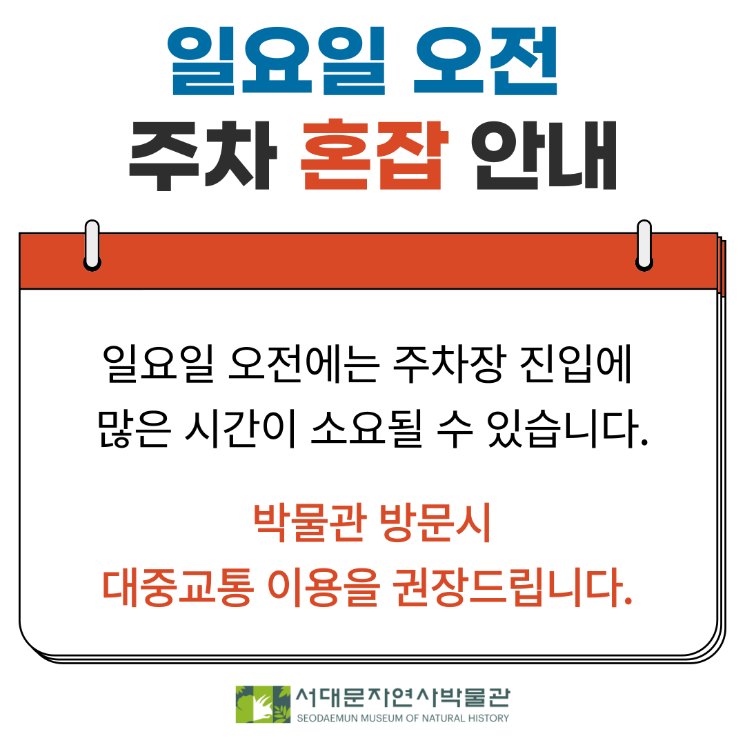 일요일 주차 안내