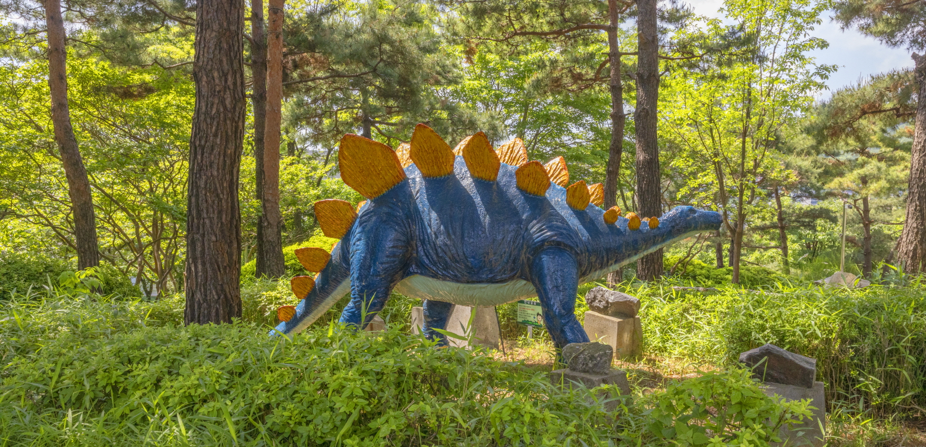 여름10