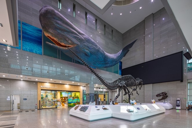 Sperm Whale-2