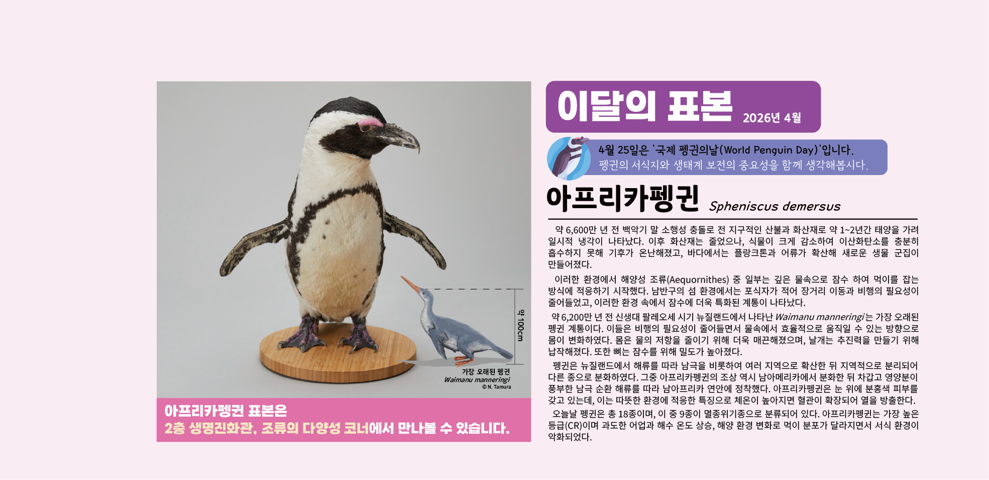 2026년 4월 이달의 표본