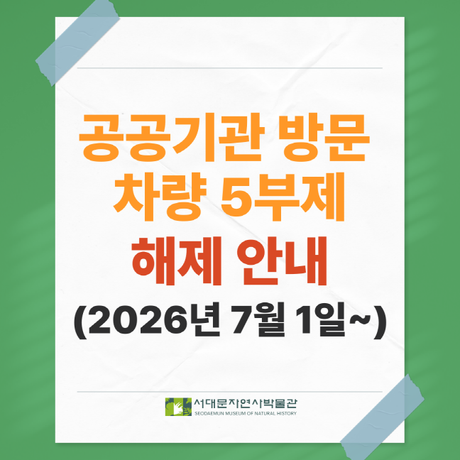 크기변환 025