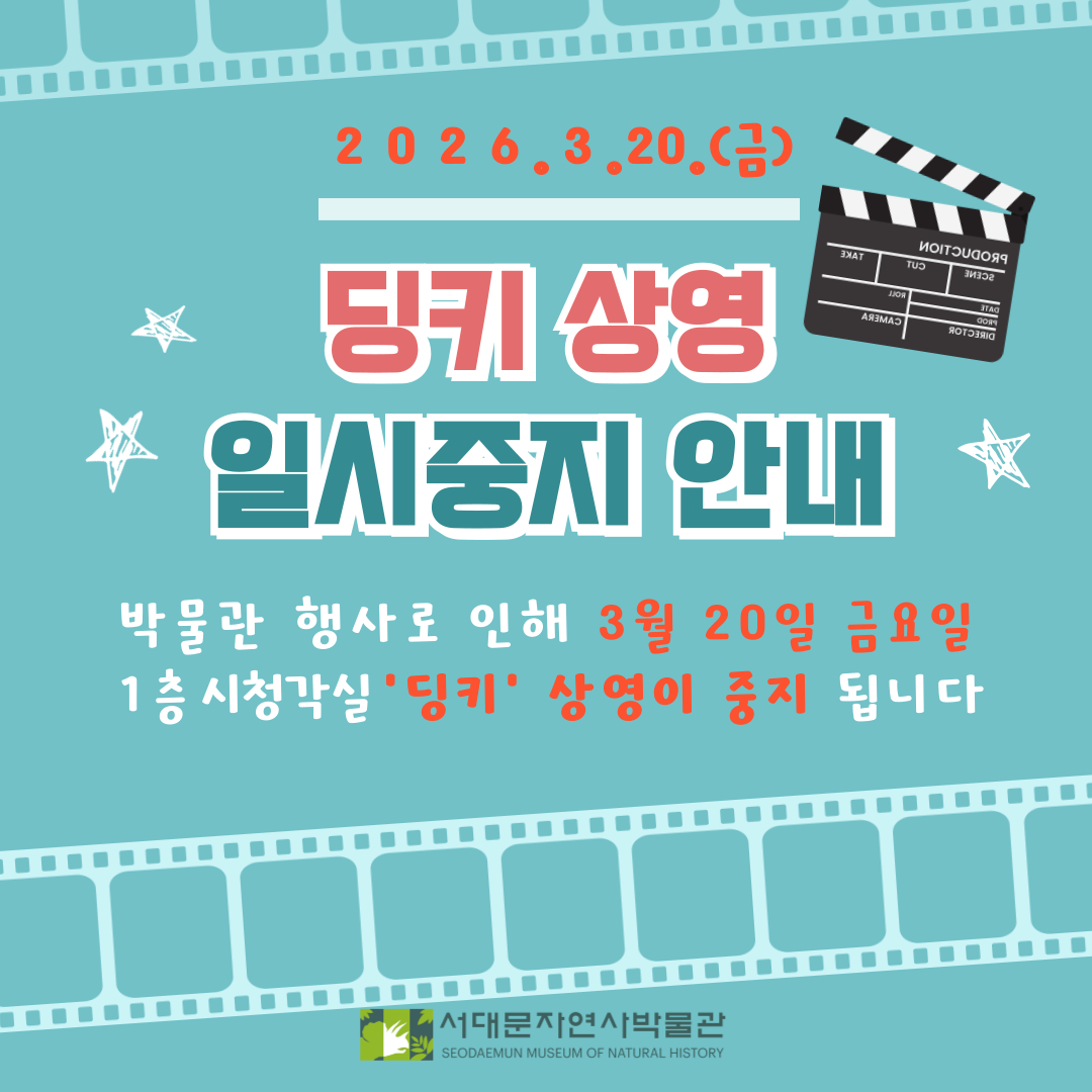 딩키일시중지0320