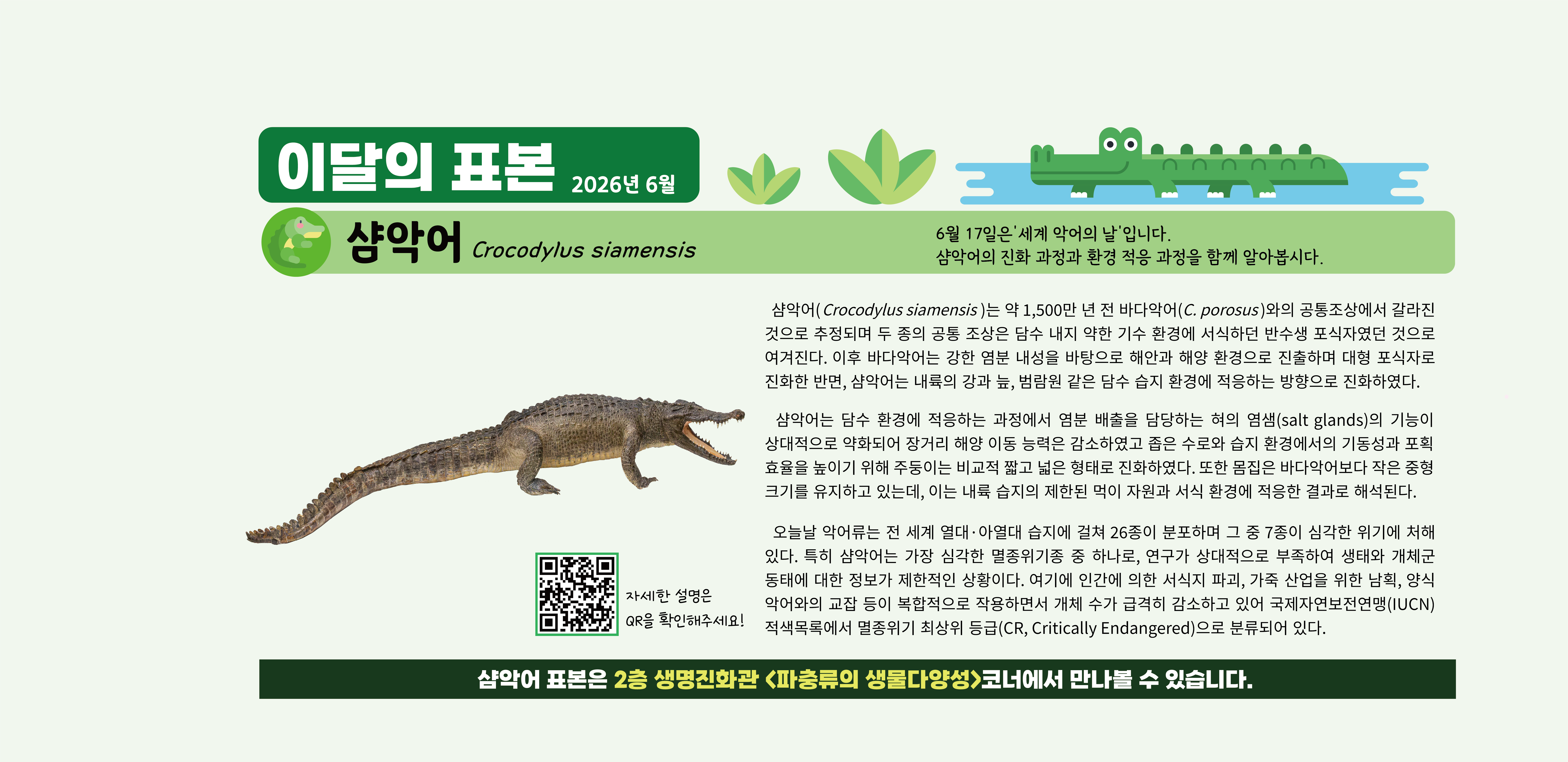 2026년 6월 이달의 표본