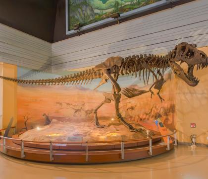 티라노사우루스